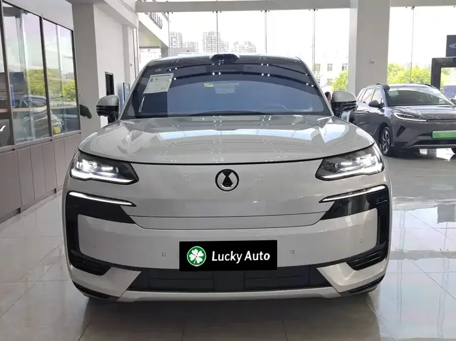 Denza N9 Flagship Grey Grey exterior